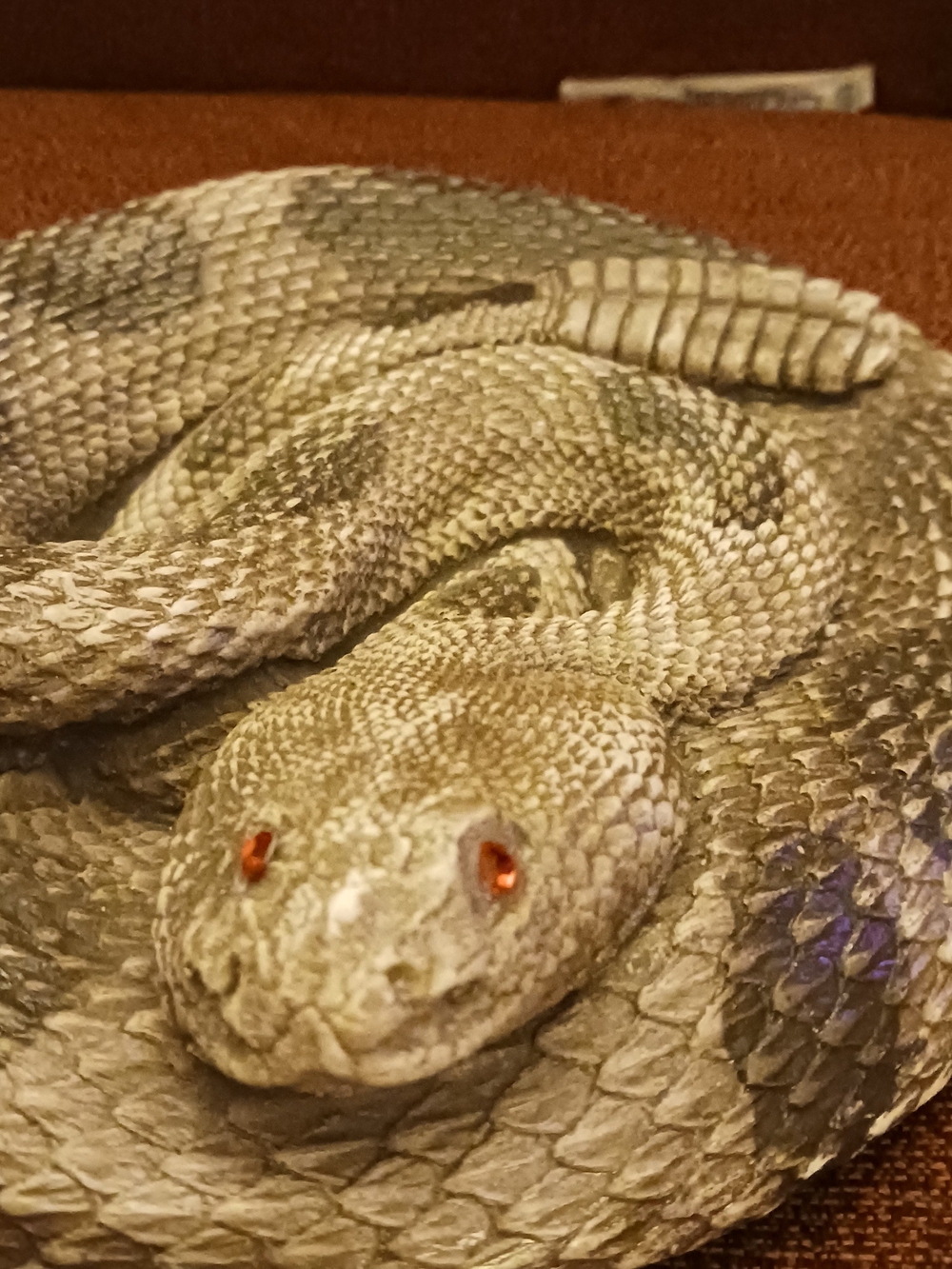 Natural Gray Reptile Habitat Décor Accessory - Pets Reptile